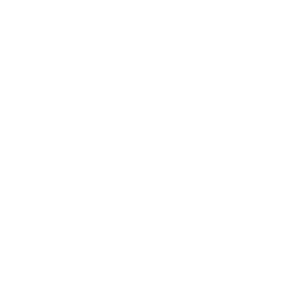 window tint tx